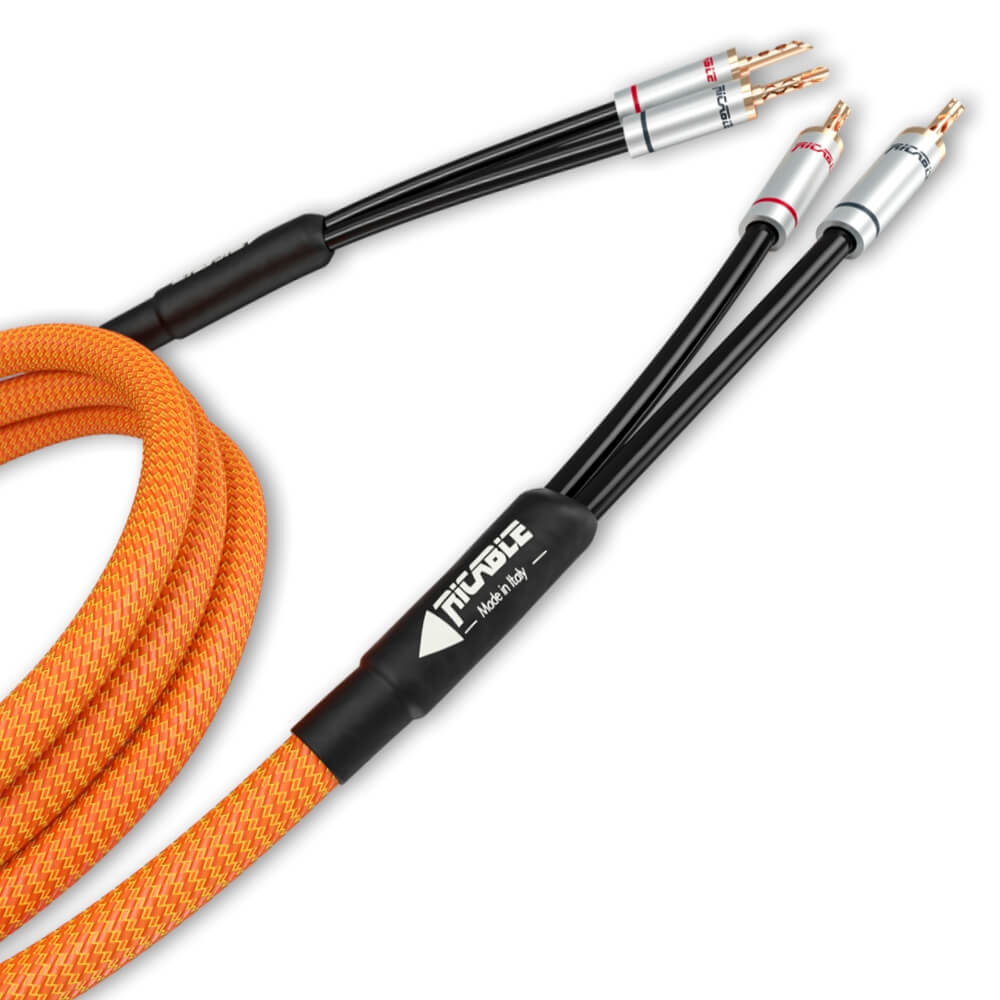 DEDALUS SPEAKER MKII - Cable de audio de alta gama para Altavoces  apantallado para altavoces acústicos de alta fidelidad con reducción de  ruido - Ricable - Conecte su pasión