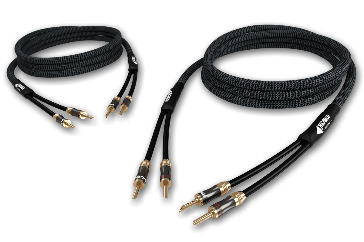 INVICTUS SPEAKER REFERENCE - Cable de audio de alta gama para Altavoces  apantallado para altavoces acústicos de alta fidelidad con reducción de  ruido - Ricable - Conecte su pasión