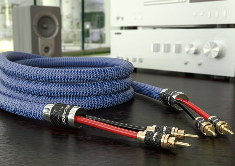 INVICTUS SPEAKER REFERENCE - Cable de audio de alta gama para Altavoces  apantallado para altavoces acústicos de alta fidelidad con reducción de  ruido - Ricable - Conecte su pasión