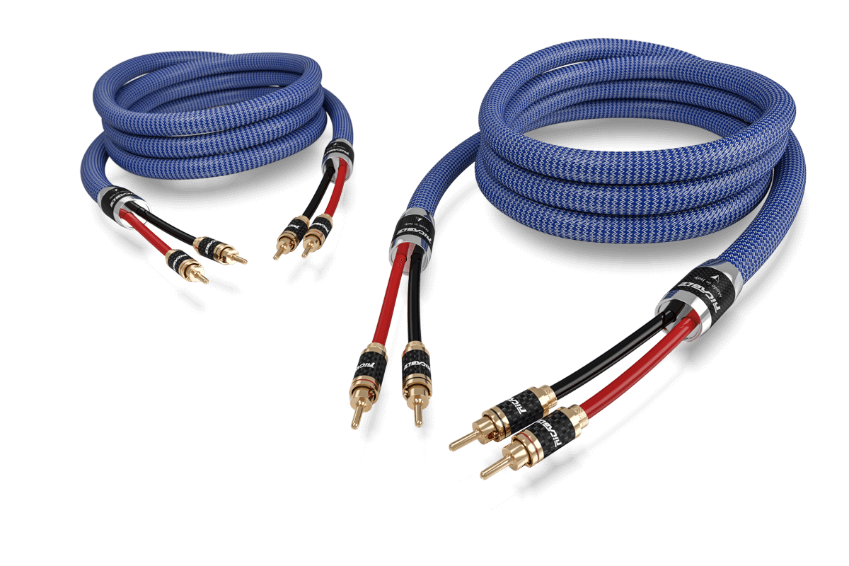 INVICTUS REFERENCIA DE ALTAVOCES - Cable de audio de alta gama para  Altavoces apantallado para altavoces acústicos de alta fidelidad con  reducción de