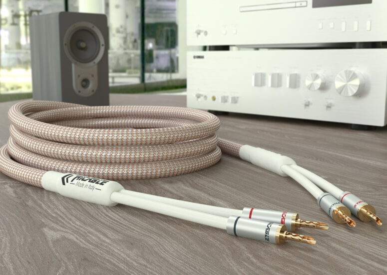 INVICTUS COAXIAL - Câble hi-fi numérique coaxial haut de gamme 75 Ohm RCA  avec réduction du bruit - Ricable - Connectez votre passion