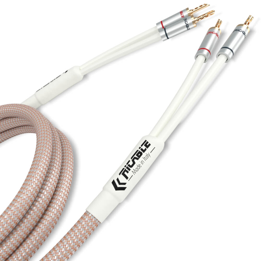 DEDALUS SPEAKER ELITE - Cable de audio de alta gama para Altavoces  apantallado para altavoces acústicos de alta fidelidad con reducción de  ruido - Ricable - Conecte su pasión